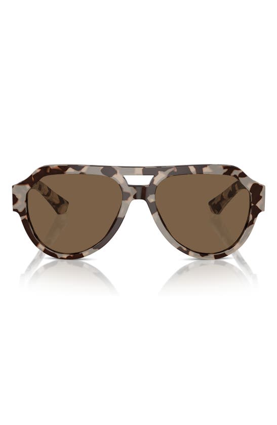Shop Dolce & Gabbana 56mm Square Aviator Polarized Sunglasses In Dark Brown