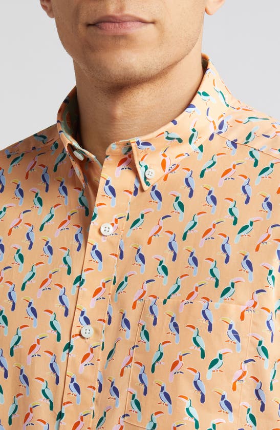 Shop Johnston & Murphy Toucan Print Short Sleeve Cotton Button-down Shirt In Melon