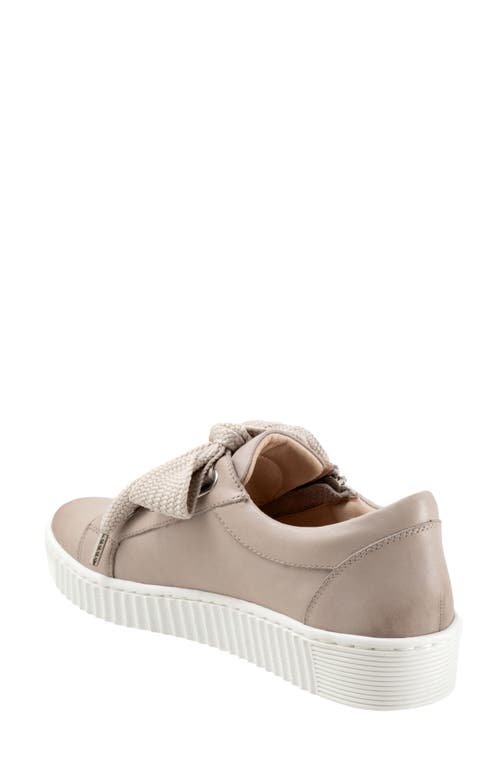 Shop Eos Footwear Jovi Sneaker In Stone