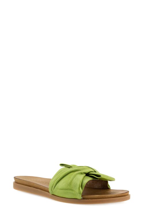 Diona Slide Sandal in Herbal Green Leather