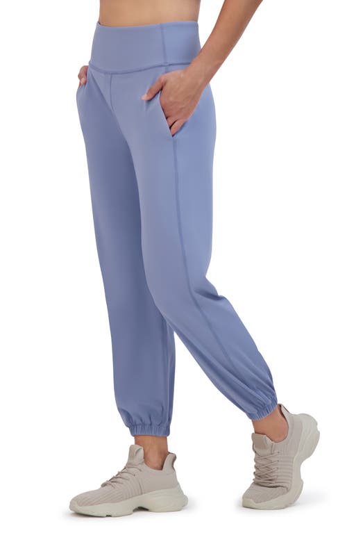 Sage Collective Sage Collective Skinny Performance Joggers In Country Blue