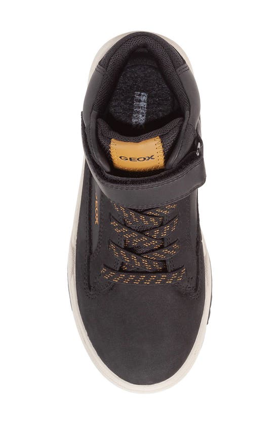 GEOX BUNSHEE AMPHIBOX® HIGH TOP SNEAKER