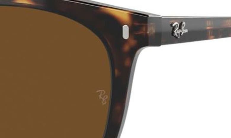 Shop Ray Ban Ray-ban 53mm Polarized Square Sunglasses In Havana