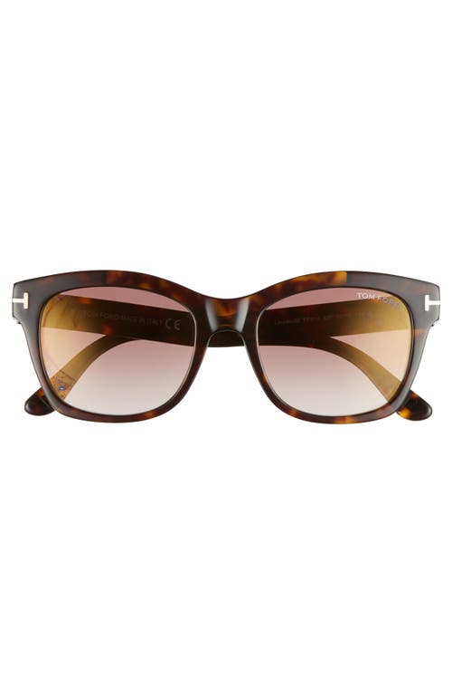 Shop Tom Ford Lauren 52mm Sunglasses In Dark Havana/gradient Brown