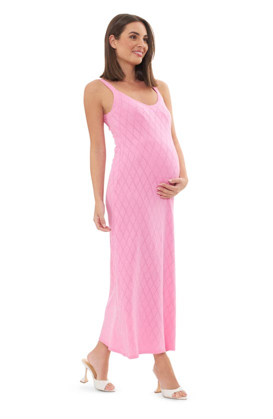 Shop Ripe Maternity Skyla Sleeveless Pointelle Knit Midi Maternity Dress In Bubble Gum