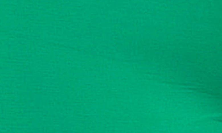 Grey Lab Bike Shorts In Green