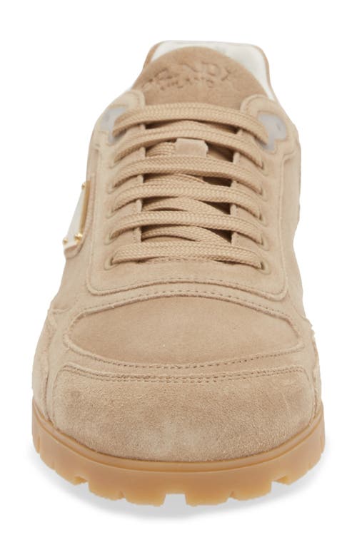 Shop Prada Trail Sneaker In Ecru