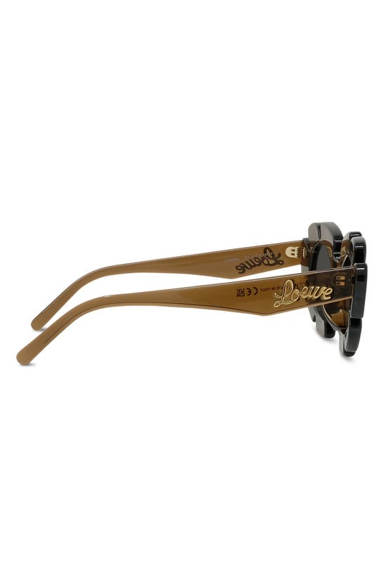 Loewe Curvy Lw40088u 47a In Light Brown/ Other / Smoke