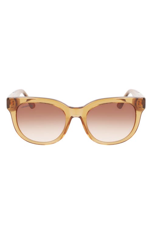 52mm Oval Sunglasses in Transparent Caramel