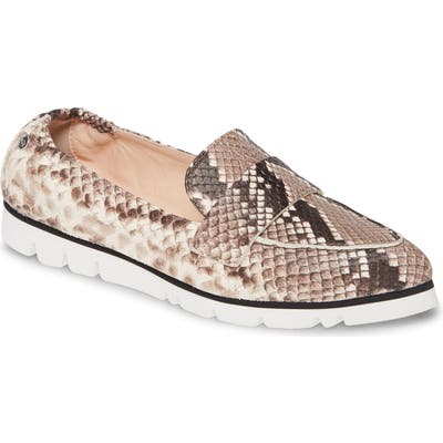 Agl Micro Pointed Toe Loafer, Grey