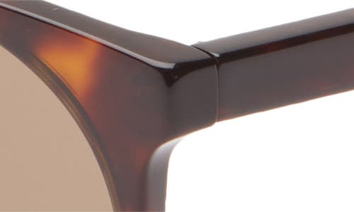 Gucci 56mm Oval Sunglasses In Havana Havana Brown