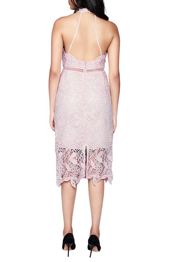 Shop Bardot Willow Lace Dress In Soft Pink