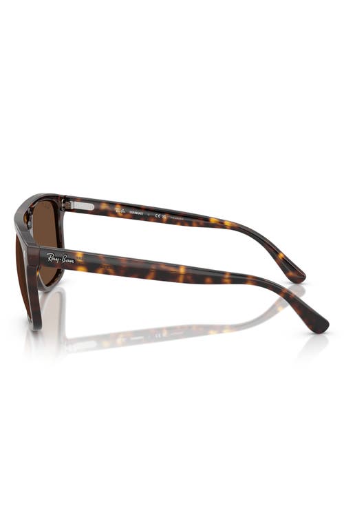 Ray Ban Ray-ban 58mm Polarized Square Sunglasses In Havana