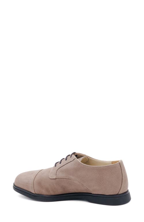 Amalfi By Rangoni Reno Cap Toe Derby In Smog Long Beach