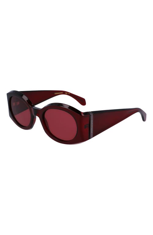 Shop Ferragamo Sculpture 55mm Oval Sunglasses In Transparent Burgundy