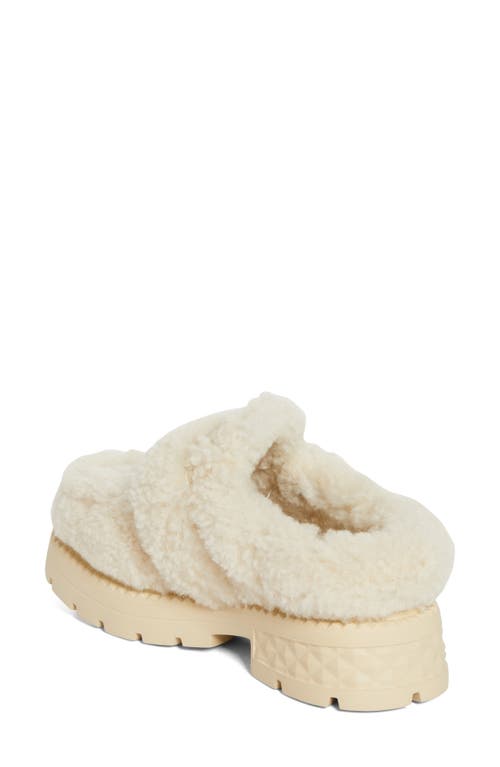 Shop Jimmy Choo Shea Genuine Shearling Loafer Mule In Natural