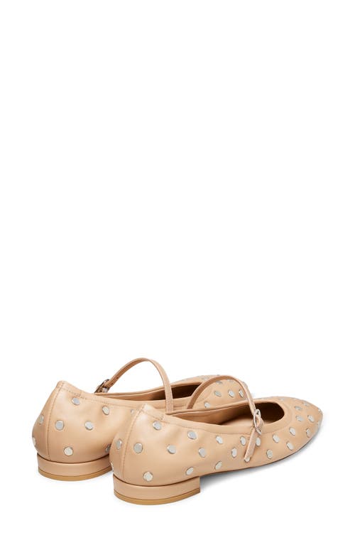 Shop Stuart Weitzman Claris Stud Ballet Flat In Adobe