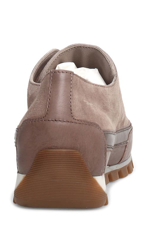 Shop Candice Cooper Janis Strip Sneaker In Taupe