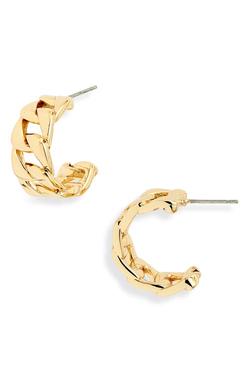 Shop Roxanne Assoulin Posh Babe Hoop Earrings In Gold