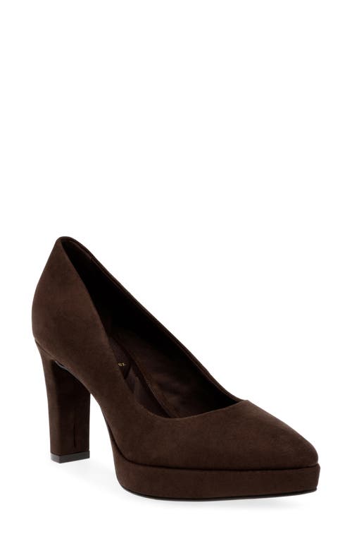 Anne Klein Jael Platform Pump in Dk Brown Ms 