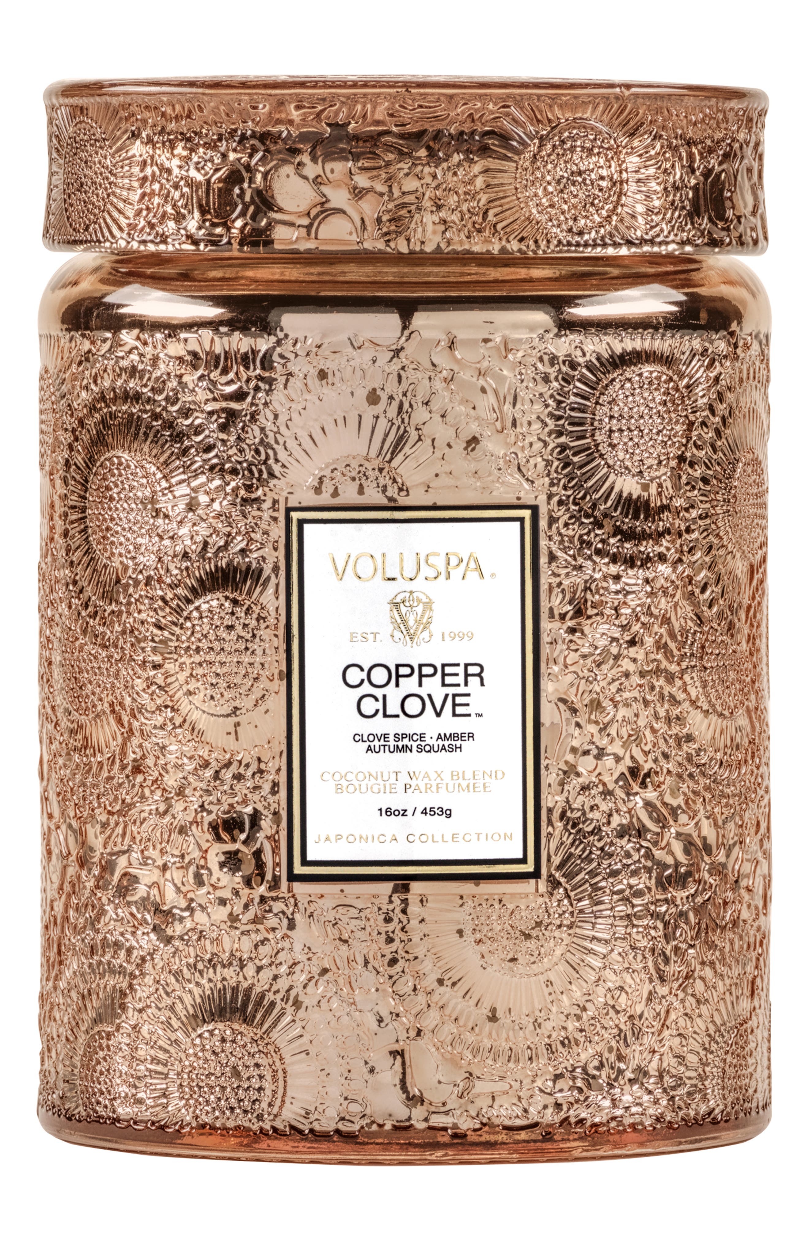 Voluspa Japonica Copper Clove Large Glass Jar Candle (Limited Edition