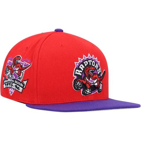 New Era Toronto Raptors Hats in Toronto Raptors Team Shop