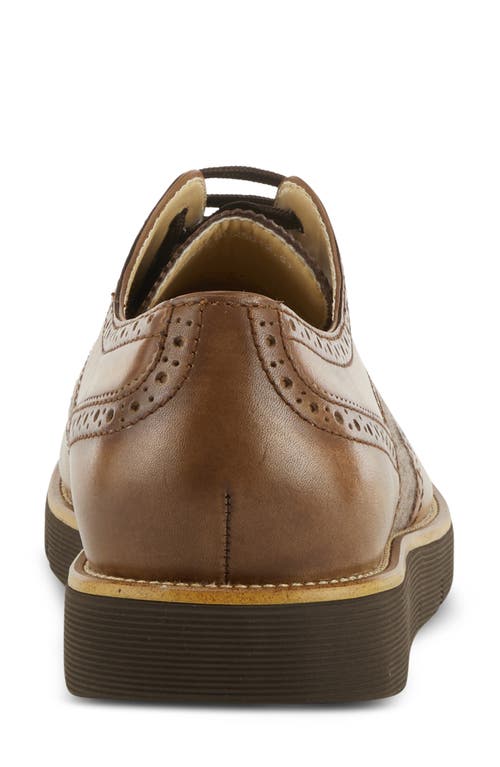 Shop L'artiste By Spring Step Beaufort Derby In Camel