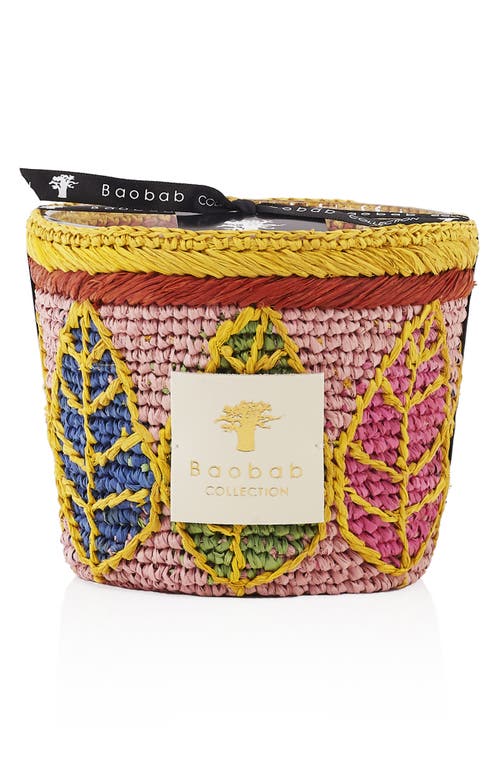 Baobab Collection Ravintsara Candle in Hanitra at Nordstrom, Size Large