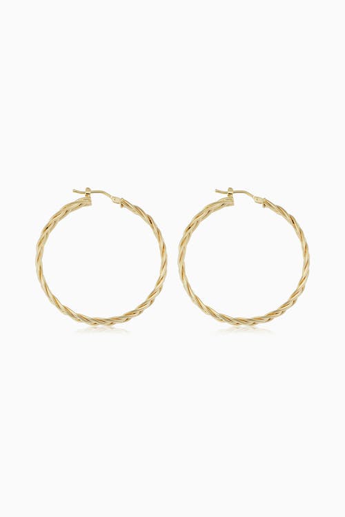 Oradina Women's 14k Yellow Solid Gold Caesar Hoops In Yellow Gold