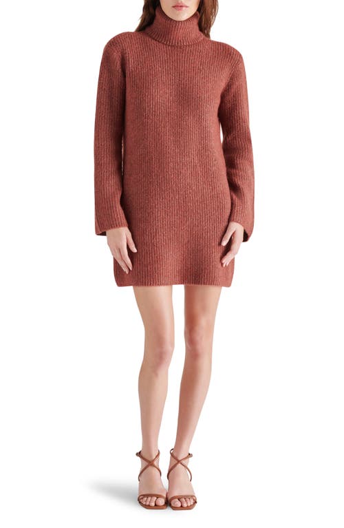 Shop Steve Madden Abbie Long Sleeve Sweater Minidress In Baked Apple