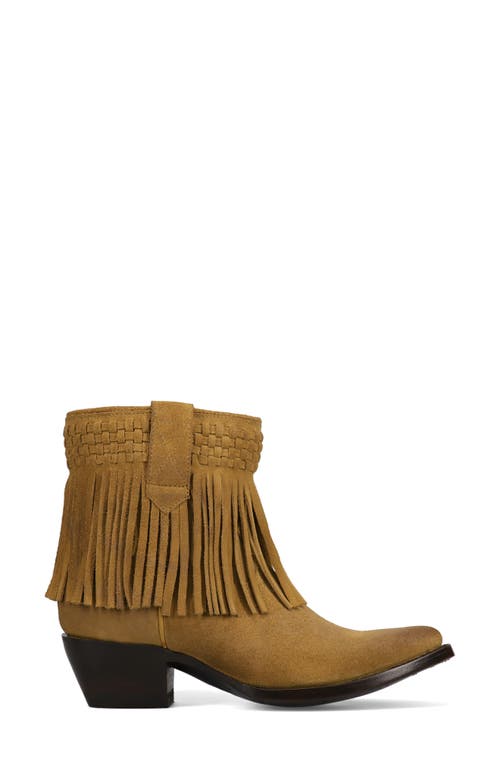 Frye Sacha Fringe Bootie In Dark Sand