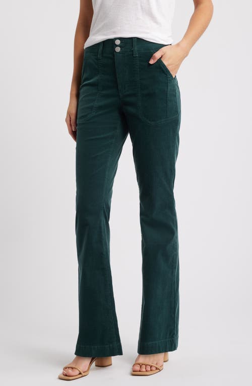 Wit & Wisdom Madison 'Ab'Solution High Waist Bootcut Corduroy Pants in Dusty Spruce