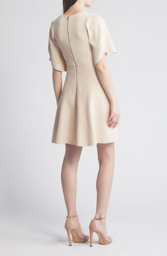 Shop Ted Baker Olivia Rib Fit & Flare Dress In Light Pink