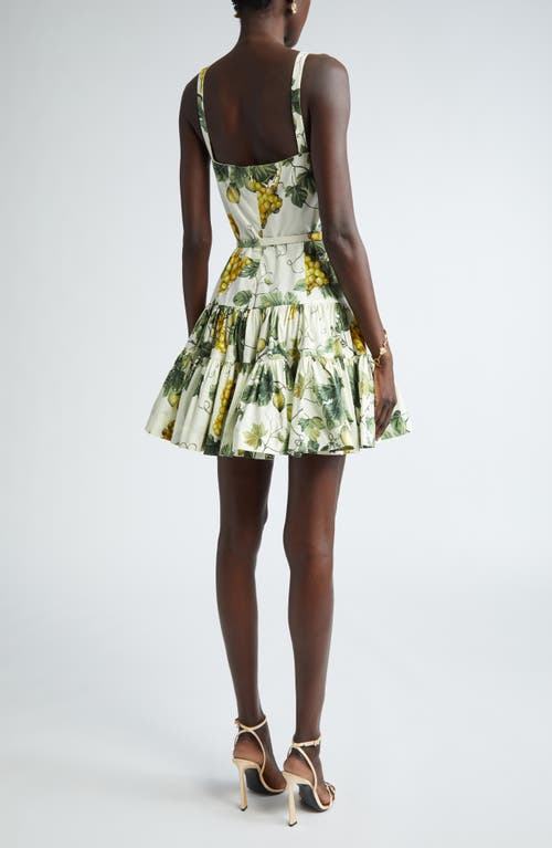 Shop Oscar De La Renta Fig Print Belted Mini Sundress In Ecru/green