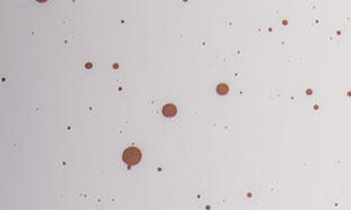 HYDRO FLASK HYDRO FLASK 12-OUNCE COFFEE MUG