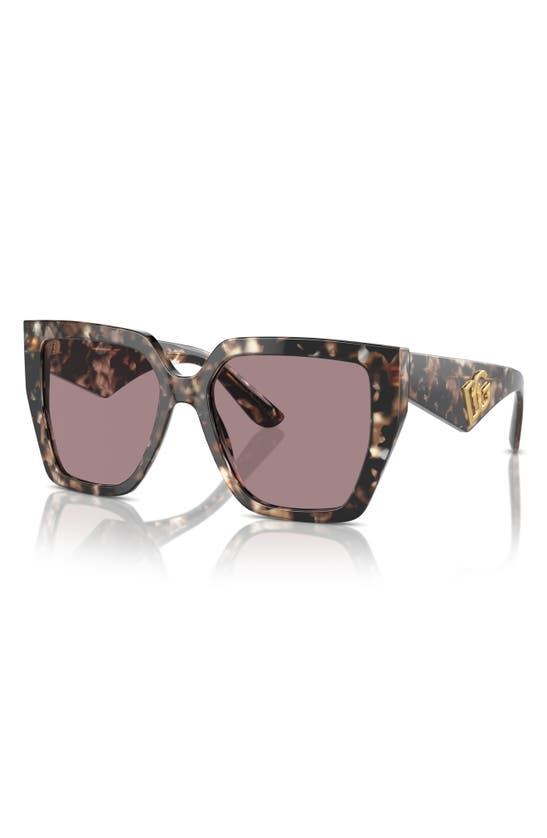 Shop Dolce & Gabbana 55mm Square Sunglasses In Grey