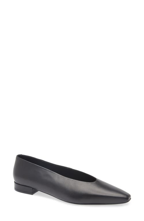Jeffrey Campbell Hinted Pointed Toe Flat In Black