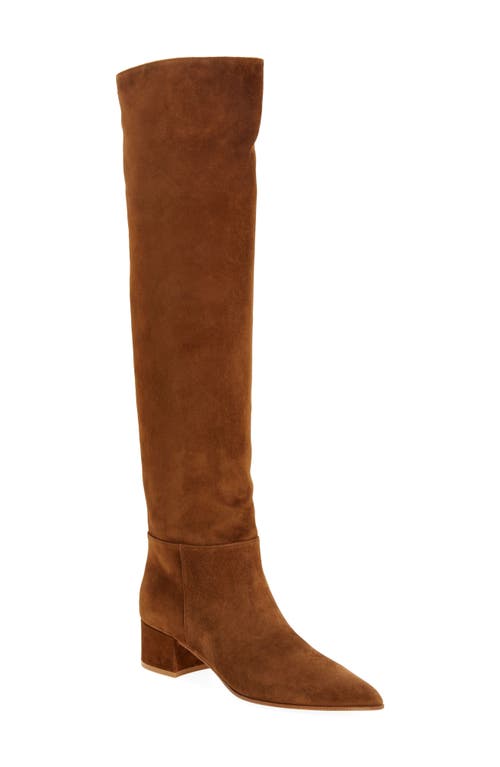 Pointed Toe Over the Knee Boot in Texas