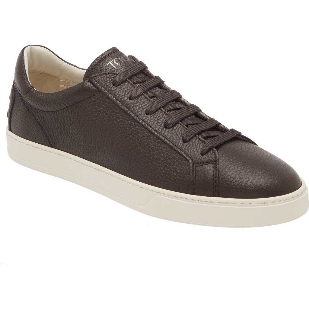 Tod's Men's Allacciata Cassetta 04l Lace Up Sneakers In Caffe