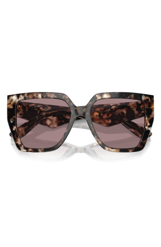 Dolce & Gabbana 55mm Square Sunglasses In Grey