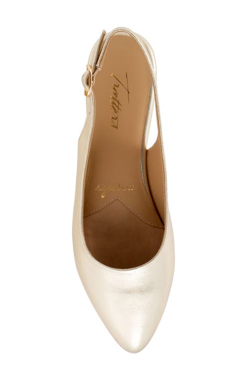 Trotters Evelyn Pointed Toe Slingback Flat In Champagne