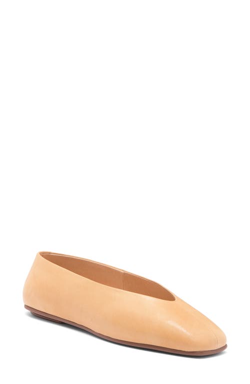 Shop Jeffrey Campbell Fathom Flat In Buff