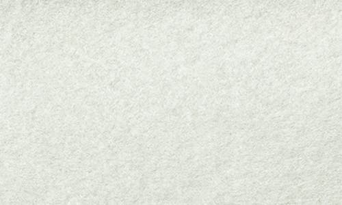 Bailey Erler Wool Fedora In Mint