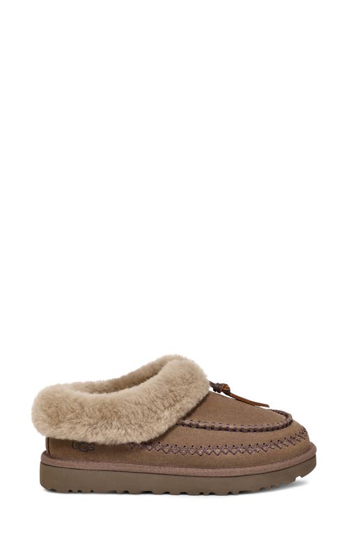 Shop Ugg(r) Tasman Alpine Genuine Shearling Clog In Hickory