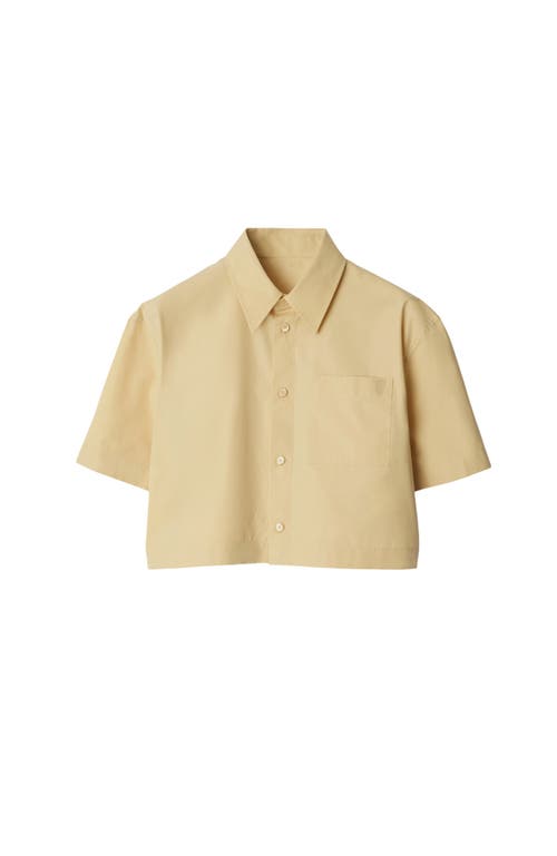 Burberry Cropped Cotton Shirt In Hay