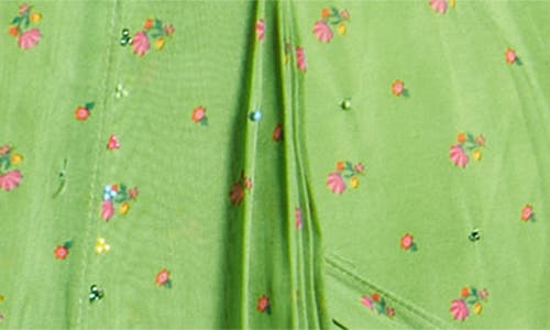 Sani Reshma Drape Saree In Light Green