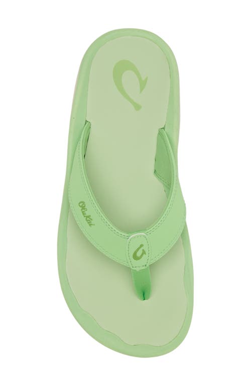 Shop Olukai Ohana Flip Flop In Frog/frog