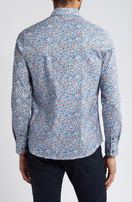 Shop Stone Rose Orange Tree Print Stretch Button-up Shirt In Light Blue