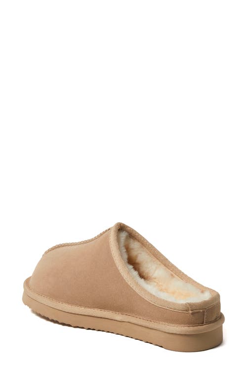 Dearfoams Greta Genuine Shearling Clog Slipper In Sand