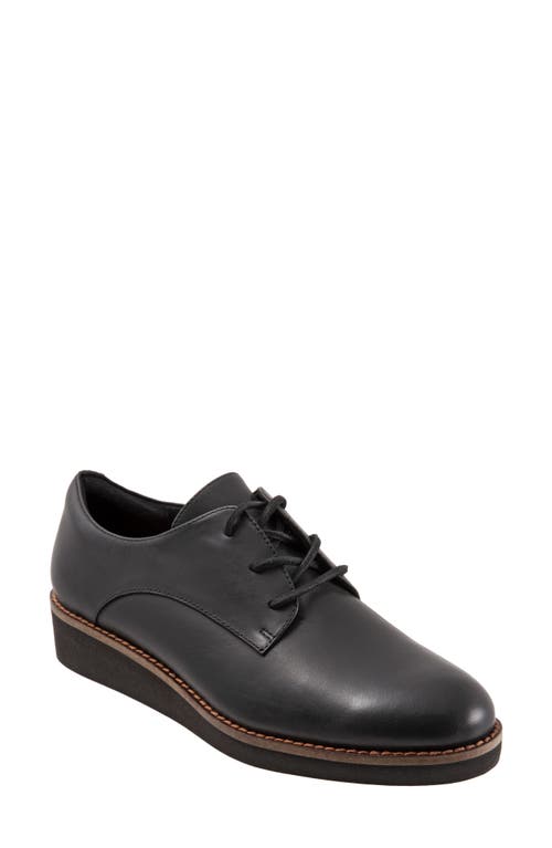 SoftWalk Willis Derby Black Leather at Nordstrom